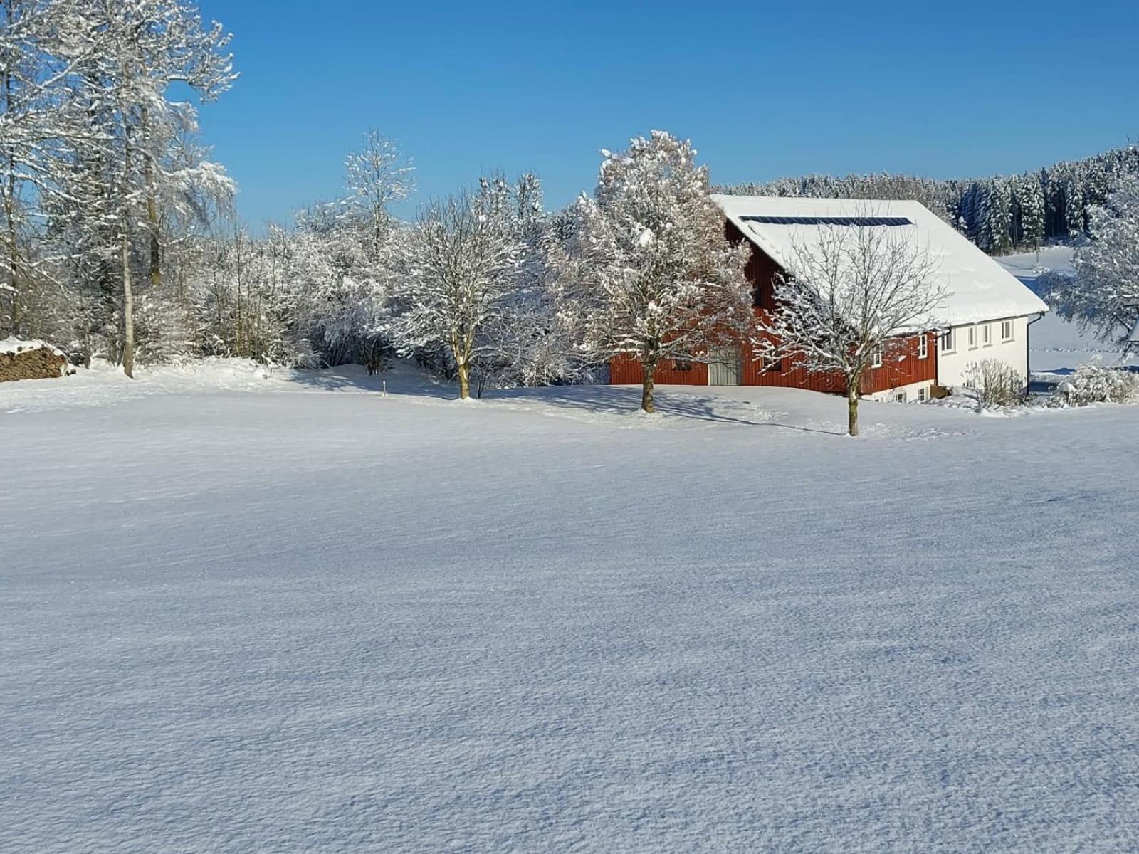 Allgaeu Bergblick Leutkirch im Allgäu المظهر الخارجي الصورة